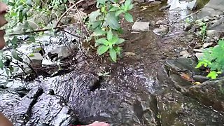 Blonde Latina Tiffany Montavani Gets Wild Anal Sex in Jungle with BBC