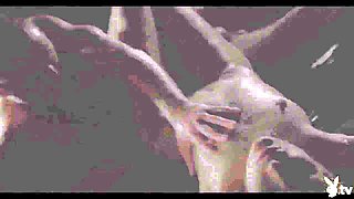 Toyride - PlayboyTV