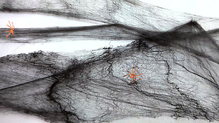 Helloween Mature Nurse