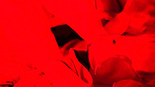 You're Destined to Lick My Soles for Hours