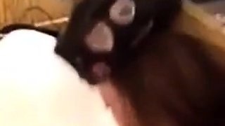 Japanese Amateur Blowjob