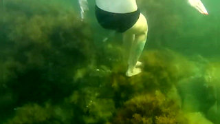 Swimming and Flashing in the Sea