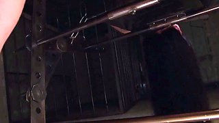 Cam girl masturbates close up using her fingers and toy
