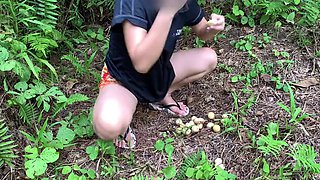 Picking wild Fruits and Eat