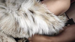 Tons of Lynx Fur, Fuck Holes, Big Squirt