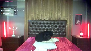 Sexy Shemale With Big Tits Jerking Her Huge Cock Off