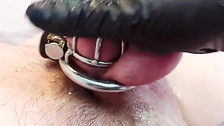 The Ultimate Chastity Collection 40 Mins of My 4 Best-selling Denial Clips!