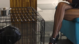 Part 1 My Useless Slave: Humiliation, Cage Confinement, Ass Worship & Ruined - Mistress Julia