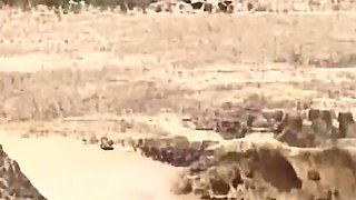 Ggg - Babewatch - Brunette Hairy Girl Gets Fucked Properly at the Beach Outdoor.