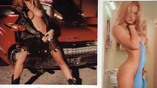 Pamela anderson pb: Big Tits, Big Ass  Babe Porn