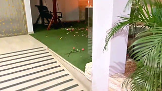 He Declares His Love for Me and We End up Fucking and Swallowing His Cum with Drink.