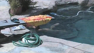 Roxie Had Fun Outdoors