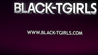 Ravishing queen bee's black cock movie