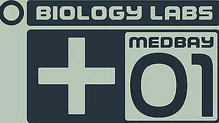 Tootsie's big ass video