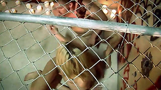 Revelation #02 Mental Domination - (The Movie)