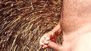 Handjob of July 30, 2020 .