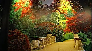 Ggg John Thompson- Blowing Huge Cocks, Ass Fucked Ang Bukkake Gangbang Compilation