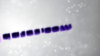 Hot Amateur Girls' Bondage Solo Compilation