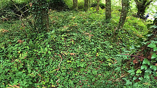 I see a girl cycling in the woods and when I go to urinate she helps me by giving me a blowjob in public