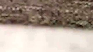 Horny Asian Cheating Wife fucked on Hidden Cam cum in mouth