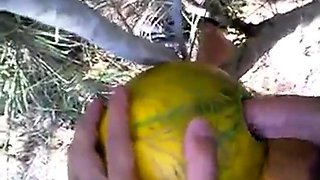 Outdoor Melon Play
