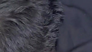 Mother's Milk on the Face of the Cheater.