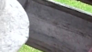 German teen extreme ass fucked