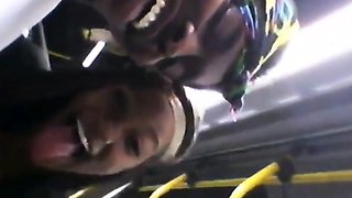 Brain's Blowjob on the Bus
