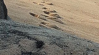 A Stranger Touched My Body on the Beach.