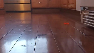 Dees Deep Clean. Dirty Housewife Dee Cleans and Picks up Around Your House with No Pants or Panties on.