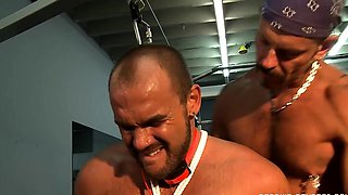 Dom Zaps And Crushes Tied Sub Jock