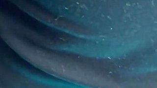 Slave Sniffs the Farts of Beautiful Mistress and Swallows Cum From Her Ass