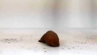 Black haired fetish girl discovers glory hole