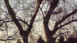 Sibylle - Hungry for Men Hungry for Men