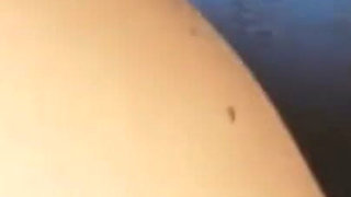 #205(2) Male Waxing. Smooth Penis and Scrotum