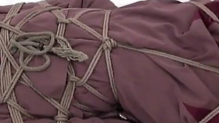 Binding Appreciation #3