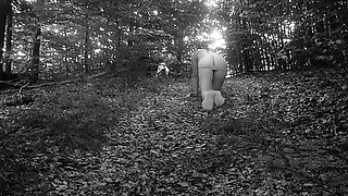 Pet Girl Obedience Training