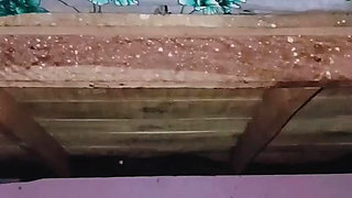 Indian college girl hardcore chudai video with ex-boyfriend