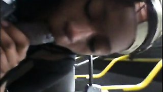 Brain's Blowjob on the Bus
