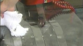 Olivia Ryder Blonde Blowjob Brunette Car Handjob