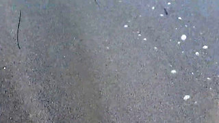 Walking on the Beach