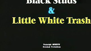 Vanessa Chase Anal Retro Gangbang