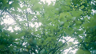 Garden Bang No Music