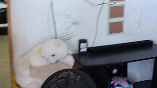 My 6 Months Pregnant Wife Part 1