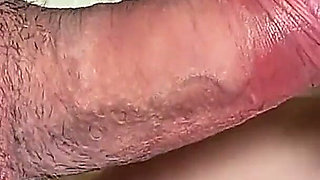 Blowjob - Sucking a Fantastic Penis Close up