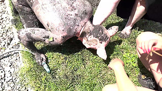 Piggy Humiliation in Mud, Playing with Nettles and Licking Our Feet Nice and Clean