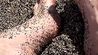 For Those Who Love Legs, I’m Having Fun in the Sand.