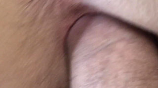 POV Nora Fox Zentai Fantaisie Grey