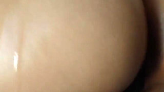 Schoolgirl the Stallion