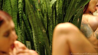 SweetHeartVideo - Lesbian Analingus 14 Scene 2 - Moving In 1 - Karma Rx